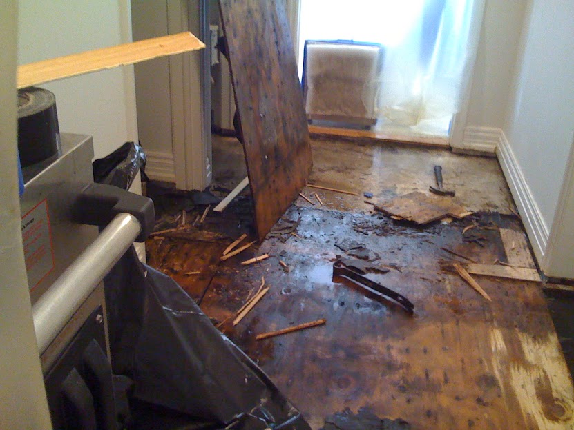 Water Damage Alexandria VA