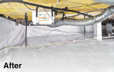 Crawl Space After